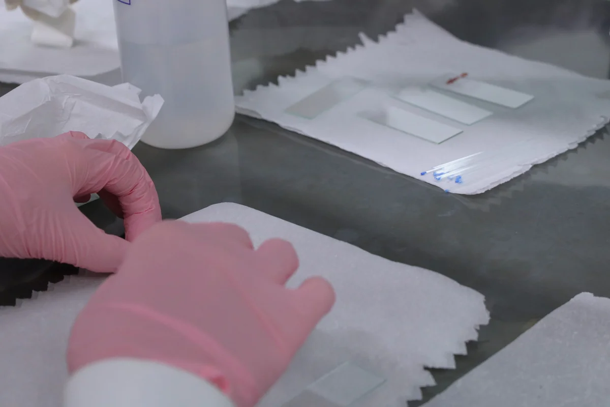 Biomedicina FEPI Itajubá 25